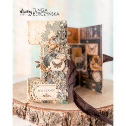 Mintay Papers Cabinet of Curiosities Collection Set 16pz