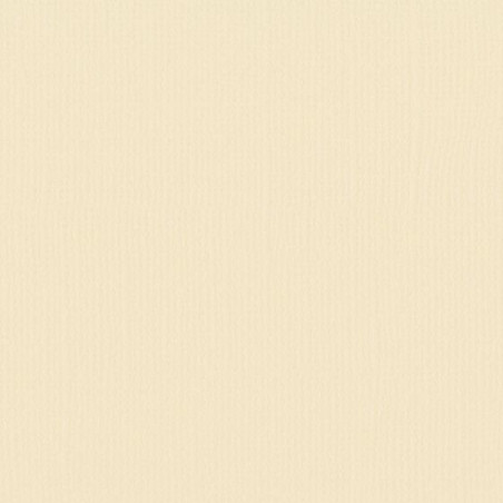 Cartoncino monocolore A4 Raffia 216 gsm