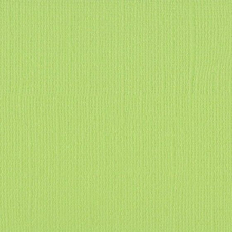 Cartoncino monocolore A4 Celery 216 gsm
