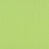 Cartoncino monocolore A4 Celery 216 gsm