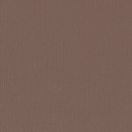 Cartoncino monocolore A4 Bear 216 gsm