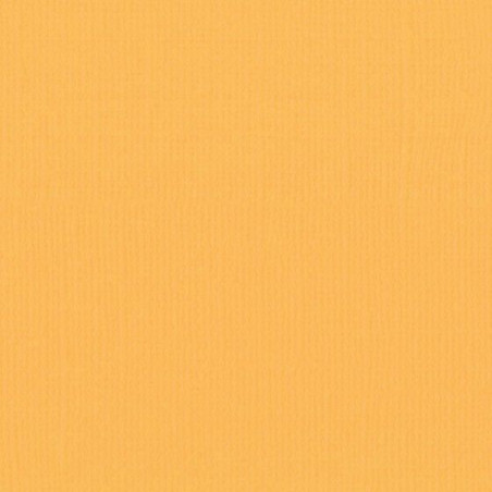 Cartoncino monocolore A4 Mango 216 gsm