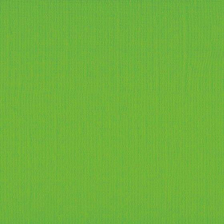 Cartoncino monocolore A4 Frog 216 gsm