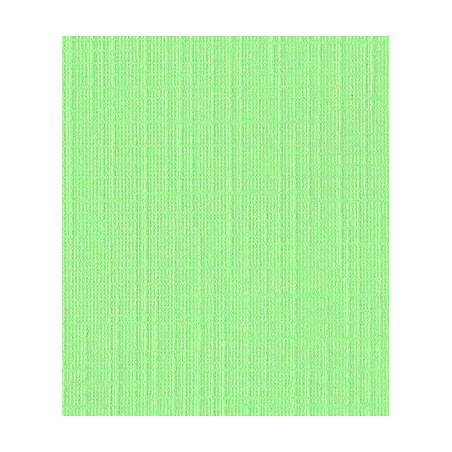 Cartoncino Trama Lino A4 Pistacchio 250 gsm