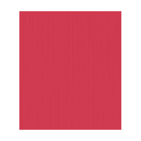10 fogli Cartoncino Trama Lino A4 Red Cherry 250 gsm