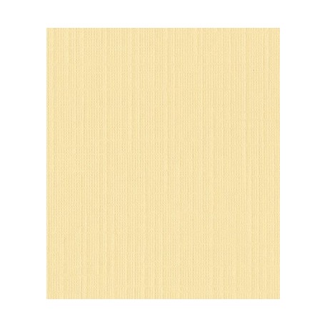 10 fogli Cartoncino Trama Lino A4 Cream 250 gsm