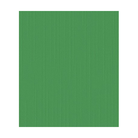 10 fogli Cartoncino Trama Lino A4 Leaf Green 250 gsm