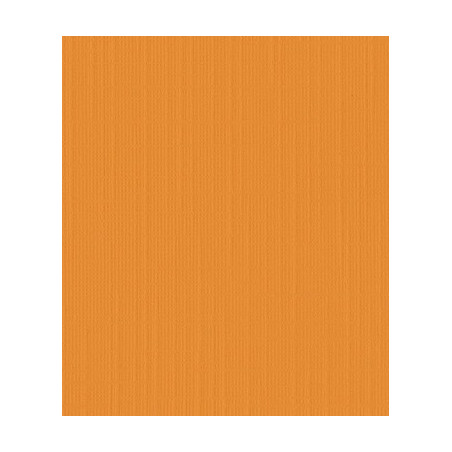 10 fogli Cartoncino Trama Lino A4 Orange 250 gsm