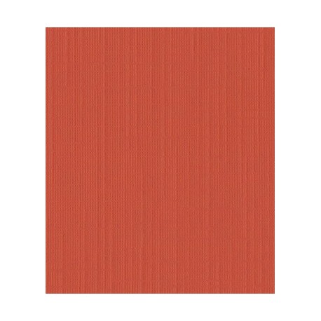 10 fogli Cartoncino Trama Lino A4 Scarlet 250 gsm