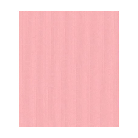 10 fogli Cartoncino Trama Lino A4 Pink 250 gsm