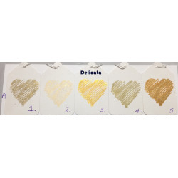 Delicata Inkpad Small Golden Glitz