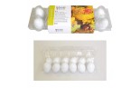12 uova di plastica da 6 cm