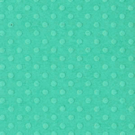 Cartoncino Bazzill Dot Swiss Tahitian Princess 30x30cm 216gsm