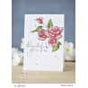 Altenew Amazing You Stamp & Die Bundle