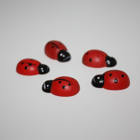 Coccinelle 2,5 cm