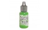 Distress Oxide Reinkers Mowed Lawn