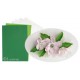 Set LeCrea Flower Foam A4 White-Green 0,8mm