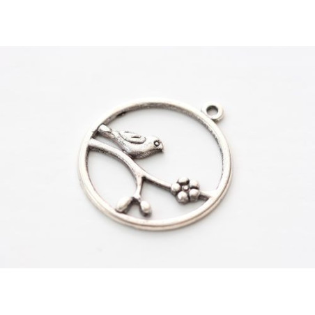 Charms Bird in a Round Frame