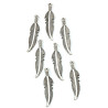 7 Charms Piuma