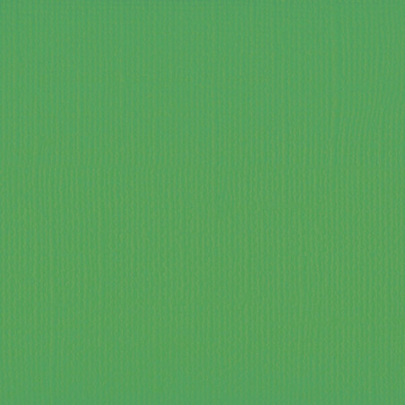 Cartoncino monocolore Broccoli 216 gsm 30x30cm
