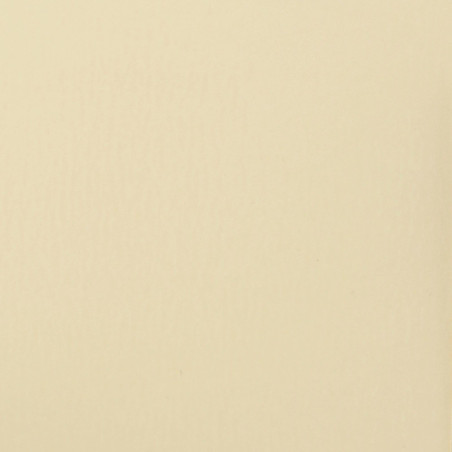Cartoncino Liscio A4 Raffia 216 gsm