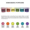 Ranger Embossing Powder Raspberry Tinsel