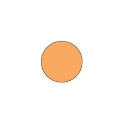 Ranger Alcohol Ink Peach Bellini 15ml