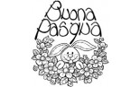 5337-UMR Buona Pasqua