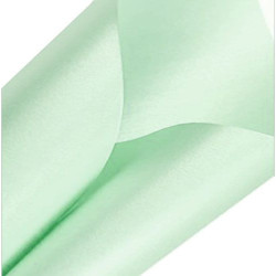 5 Fogli A4 Carta Perlata Acquamarine 120 gsm