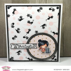 The Greeting Farm Clear Stamps Hey Pretty Kitty