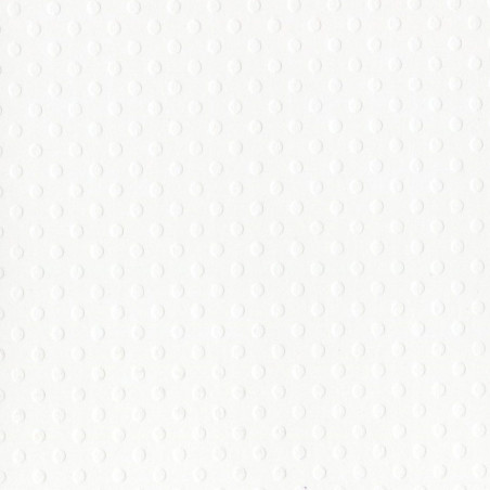 Cartoncino Bazzill Dot Swiss Salt 30x30cm 216gsm