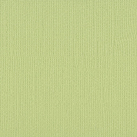 Cartoncino effetto tela Anise 216 gsm 30x30cm