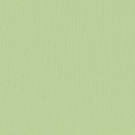 Carta effetto tela Verde Acqua 216 gsm 30x30cm