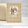 My Favorite Things Picture Perfect Clear Stamps