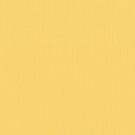 Cartoncino Effetto Tela A4 Honey 216 gsm