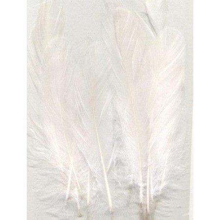 Piume Pure White 15pz