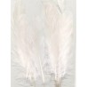 Piume Pure White 15pz
