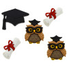 Dress It Up Embellishments Graduation