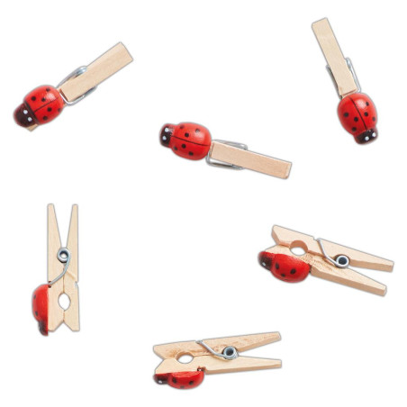 16 Mollette Coccinelle