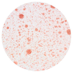Nuvo Mica Mist Crimson Velvet