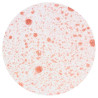 Nuvo Mica Mist Crimson Velvet