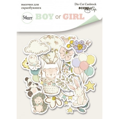 ScrapMir Boy Or Girl Die-Cut Cardstock 54pz