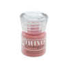 NUVO EMBOSSING POWDER – Pink Popsicle