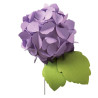 Bigz Die - Hydrangea 664367