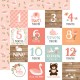 Echo Park Baby Girl Collection Kit 30x30cm