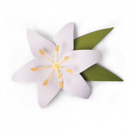 Bigz Die - Lily 663698