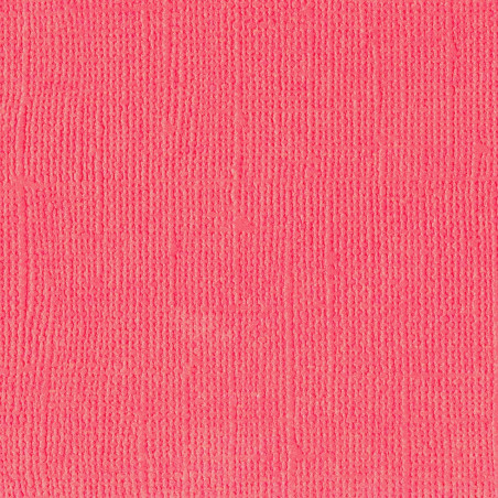 Cartoncino effetto tela Anemone 216 gsm 30x30cm
