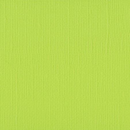 Cartoncino Effetto Tela Lime 216gsm 30x30cm
