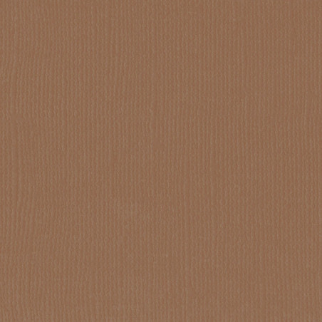 Cartoncino Effetto Tela Lion 216gsm 30x30cm