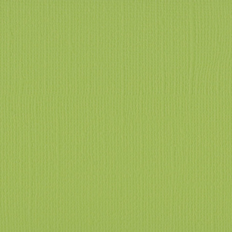 Cartoncino Effetto Tela Pistachio 216gsm 30x30cm